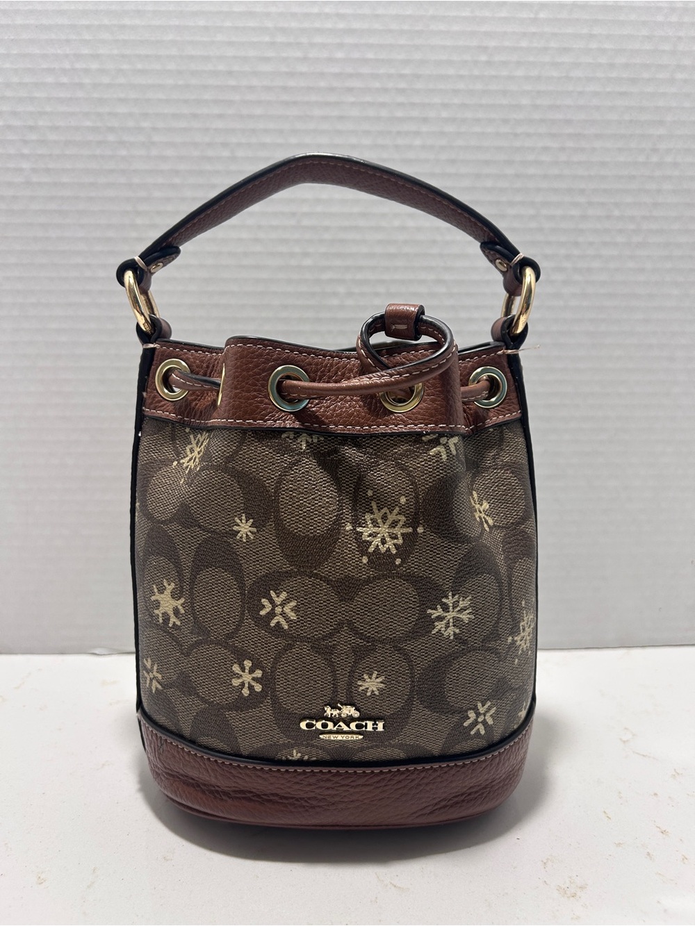 Coach Snowflake Bucket Bag